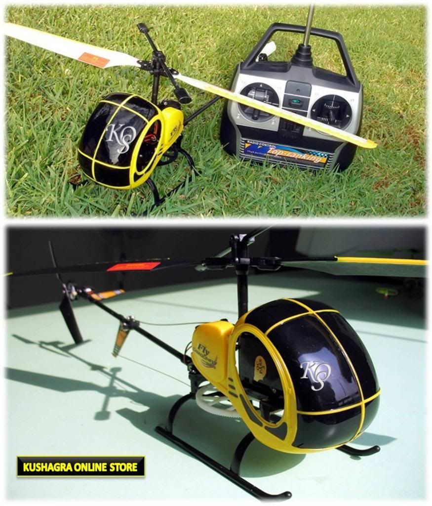 World's Most Popular DragonFly Radio Remote Control RC Real Look Helicopter